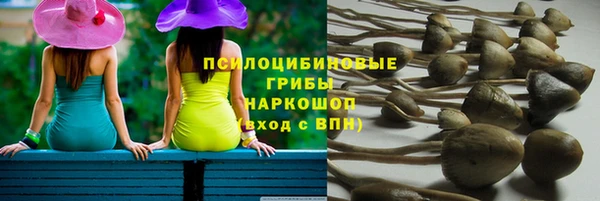 тгк Алзамай
