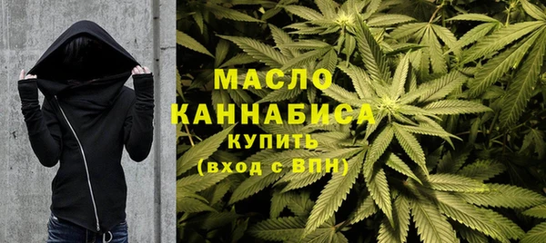 дмт Алексин