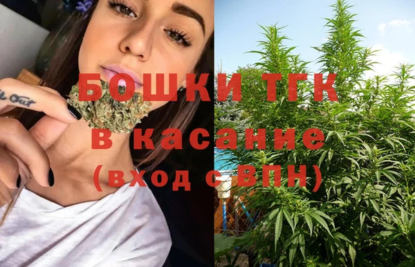 тгк Алзамай