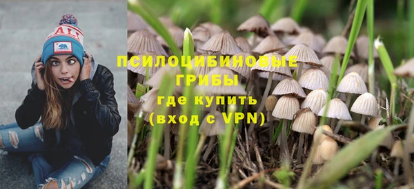 дмт Алексин