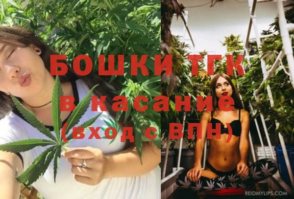 тгк Алзамай