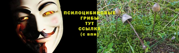 дмт Алексин